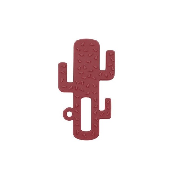 MINIKOIOI Mordedor Cactus